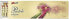 Фото #1 товара Карандаши цветные Bertus -PASTELE OL.24 EASY 12 цветов