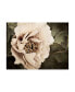 Фото #1 товара Rachel Perry Golden Era Peony I Canvas Art - 20" x 25"