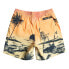 QUIKSILVER Everyday Paradise 14´´ Youth Swimming Shorts