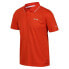 Фото #5 товара REGATTA Maverick V short sleeve polo