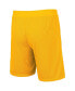 Фото #3 товара Men's Maroon, Gold Minnesota Golden Gophers Wiggum Reversible Logo Shorts