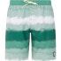 Фото #1 товара PROTEST Abel Swimming Shorts