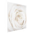 Фото #4 товара Bild Pretty White Rose II