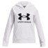 Фото #2 товара UNDER ARMOUR Rival Fleece BL hoodie