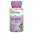 Фото #1 товара Vital Extracts, Bilberry, 60 mg, 60 VegCaps