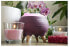 Aroma diffuser Berry DF1011 Perfect Air