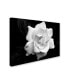 Kurt Shaffer 'Gardenia in Black and White' Canvas Art - 24" x 32"