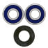 Фото #1 товара All BALLS 25-1353 Wheel Bearing Kit