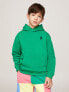 Kids' Embroidered TH Hoodie