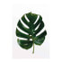 Фото #2 товара Wandbild Monstera Leaf