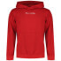 Фото #2 товара HELLY HANSEN Core hoodie