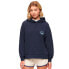 Фото #1 товара SUPERDRY Essential hoodie