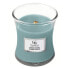 Фото #1 товара Scented candle vase Evergreen Cashmere 275 g