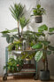 Фото #2 товара Kunstpflanze Philodendron