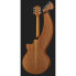 Фото #3 товара Timberline Guitars T20HGC-e Harp Guitar