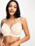 Фото #1 товара We Are We Wear Fuller Bust padded plunge bra with hardwear detail in white