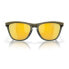 Фото #9 товара OAKLEY Frogskins Range Polarized Sunglasses