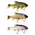 QUANTUM FISHING Freak of Nature SwimBait Tench Soft Lure 230 mm 270g