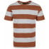 ფოტო #1 პროდუქტის REGATTA Brayden short sleeve T-shirt