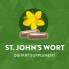 St. John's Wort Herb, 700 mg, 100 Vegetarian Capsules (350 mg per Capsule)
