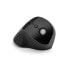 Wireless Mouse Kensington K75501EU Black