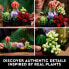 Фото #6 товара Конструктор LEGO Succulents 10309: Для Взрослых, 771 деталь.