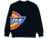 Фото #2 товара Толстовка мужская Dickies Logo DK008189BLK