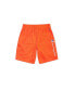 Фото #1 товара Шорты Champion Big Boys Mesh Active