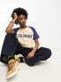 Daisy Street relaxed raglan t-shirt with embroidered colorado graphic