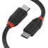 Фото #1 товара USB-C-кабель LINDY 36906 Чёрный 1 m