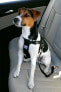 Фото #2 товара Шлейка для собак Zolux Szelki безопасности средняя