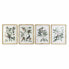 Painting DKD Home Decor 50 x 2,5 x 65 cm Shabby Chic Botanical plants (4 Pieces)