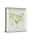 Ficus Robusta by Katrien Soeffers Mirror Framed Print Wall Art, 22" x 26"