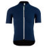 Q36.5 L1 Pinstripe X short sleeve jersey