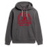 SUPERDRY Track & Field Ath Graphic Hoodie