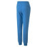 PUMA BMW Motorsport Essentials Pants