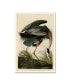 Фото #1 товара John James Audobon 'Great Blue Heron' Canvas Art - 32" x 22" x 2"