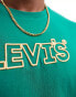 Фото #3 товара Levi's corder headline logo relaxed fit t-shirt in green