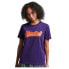 Фото #1 товара SUPERDRY Vintage Vl Seasonal T-shirt