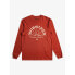 Фото #4 товара QUIKSILVER Rays For Days long sleeve T-shirt