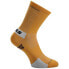 Q36.5 Ultralight socks