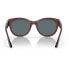 Фото #3 товара Очки COSTA Maya Mirrored Sunglasses