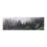 Фото #7 товара Panoramabild Wald im Nebel Bäume 3D