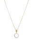 Půvabný pozlacený náhrdelník se zirkony Elegant 13066C100-30