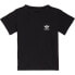 ADIDAS ORIGINALS Adicolor short sleeve T-shirt