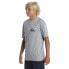 Фото #4 товара QUIKSILVER Surf You short sleeve T-shirt