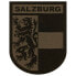 Фото #1 товара CLAWGEAR Salzburg Shield Patch