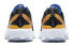Обувь спортивная Nike Renew Element 55 PRMGS (CU0851-001)