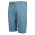 REGATTA Aldan shorts