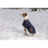 ფოტო #6 პროდუქტის DIEGO & LOUNA 600 D Dog Jacket